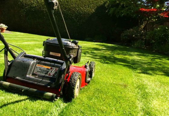 Lawn Care