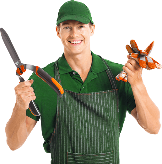 gardener