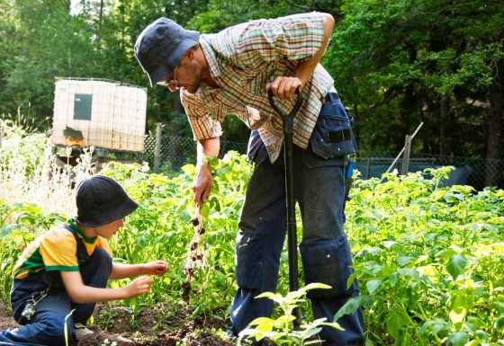 Growing & Caring for Your Garden!