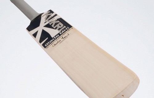 Vicky Cricket Bat